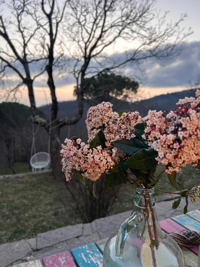 Podere Ceppeti 13 Gabellino 外观 照片